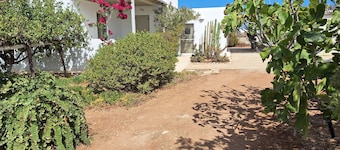 Welcoming 3-bedroom farmhouse in Paros with stunning views