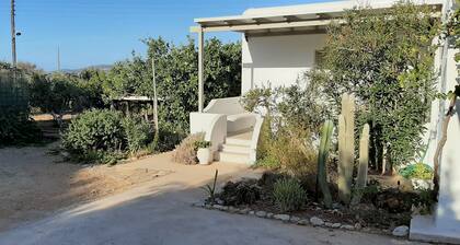 Welcoming 3-bedroom farmhouse in Paros with stunning views