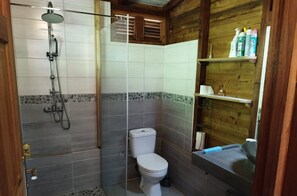 Shower, towels, toilet paper
