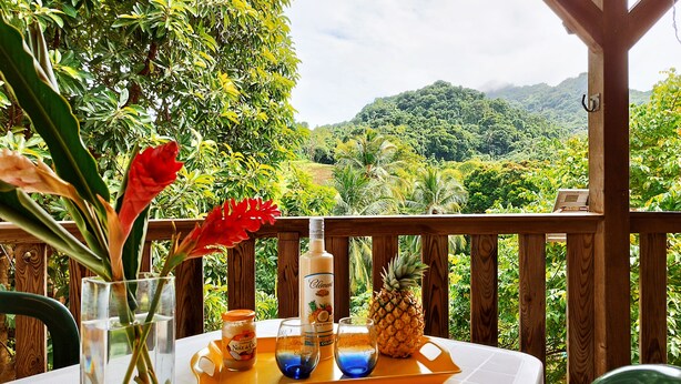 A wooden deck with a table set for a tropical drink, a pineapple, and a vase with flowers.