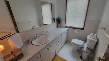 Hair dryer, towels, soap, shampoo