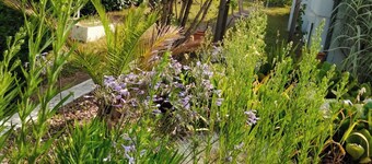 Holiday Home 'Maison Au 19' with Shared Terrace, Shared Garden and Wi-Fi