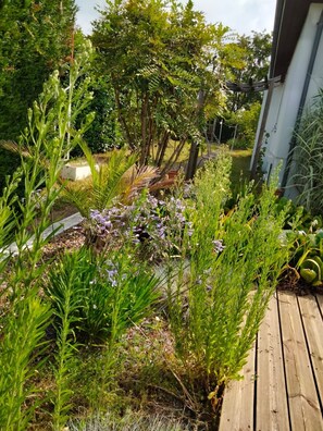 A garden with various plants and a wooden deck.
