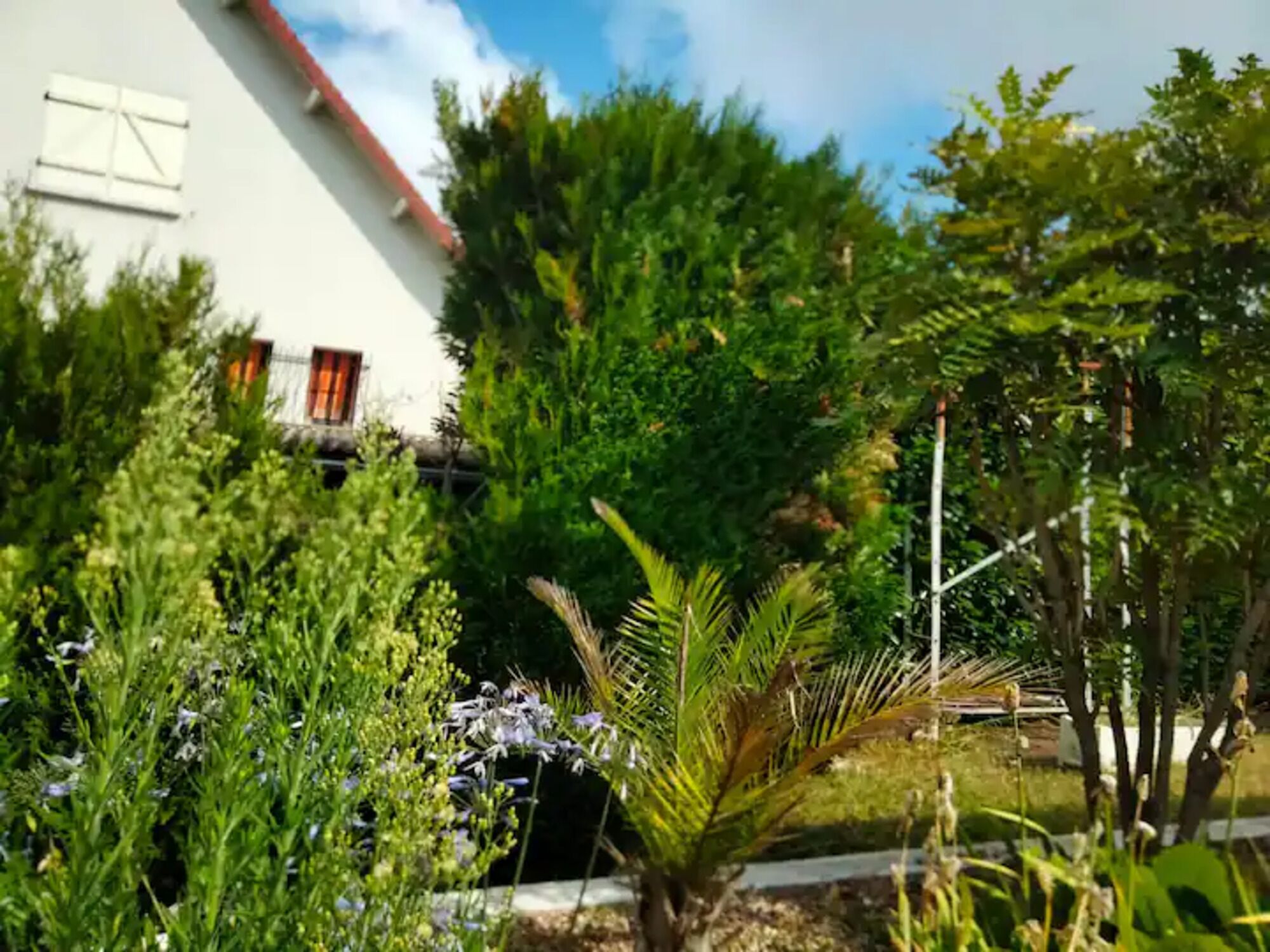 Área da propriedade