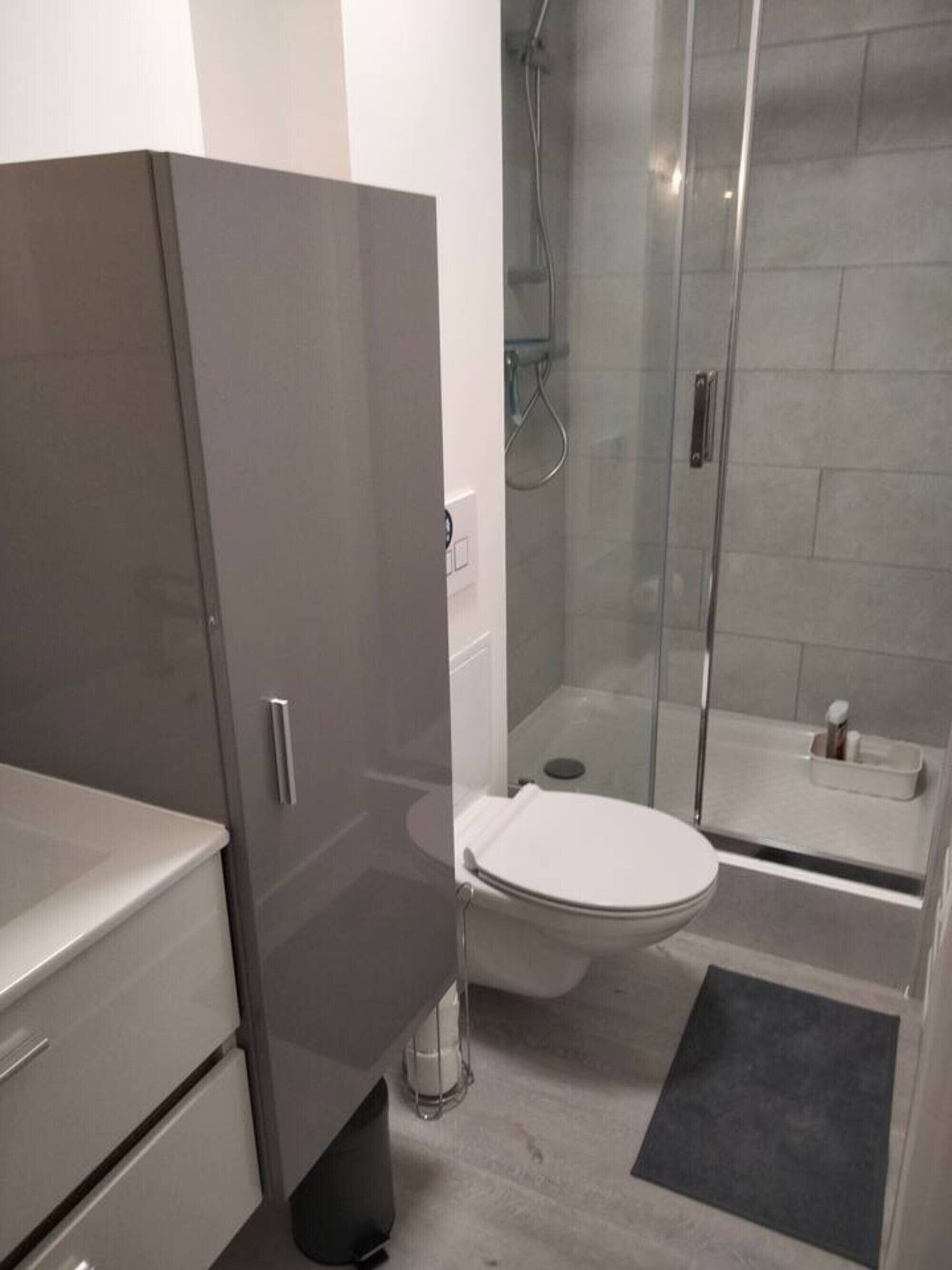 A bathroom with a toilet, shower, and a cabinet.