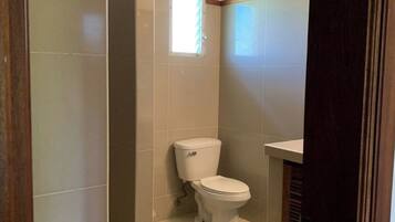 A bathroom with a toilet, a shower, and a window.