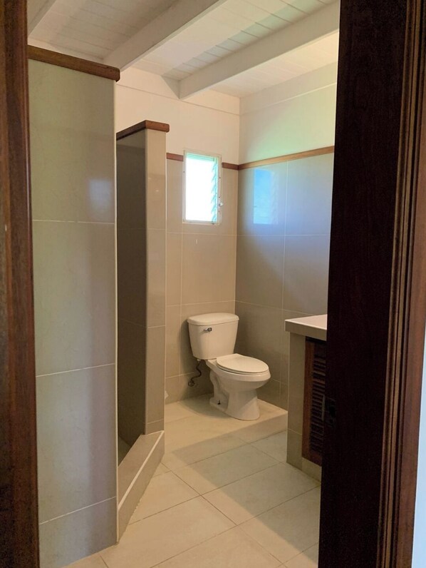 A bathroom with a toilet, a shower, and a window.