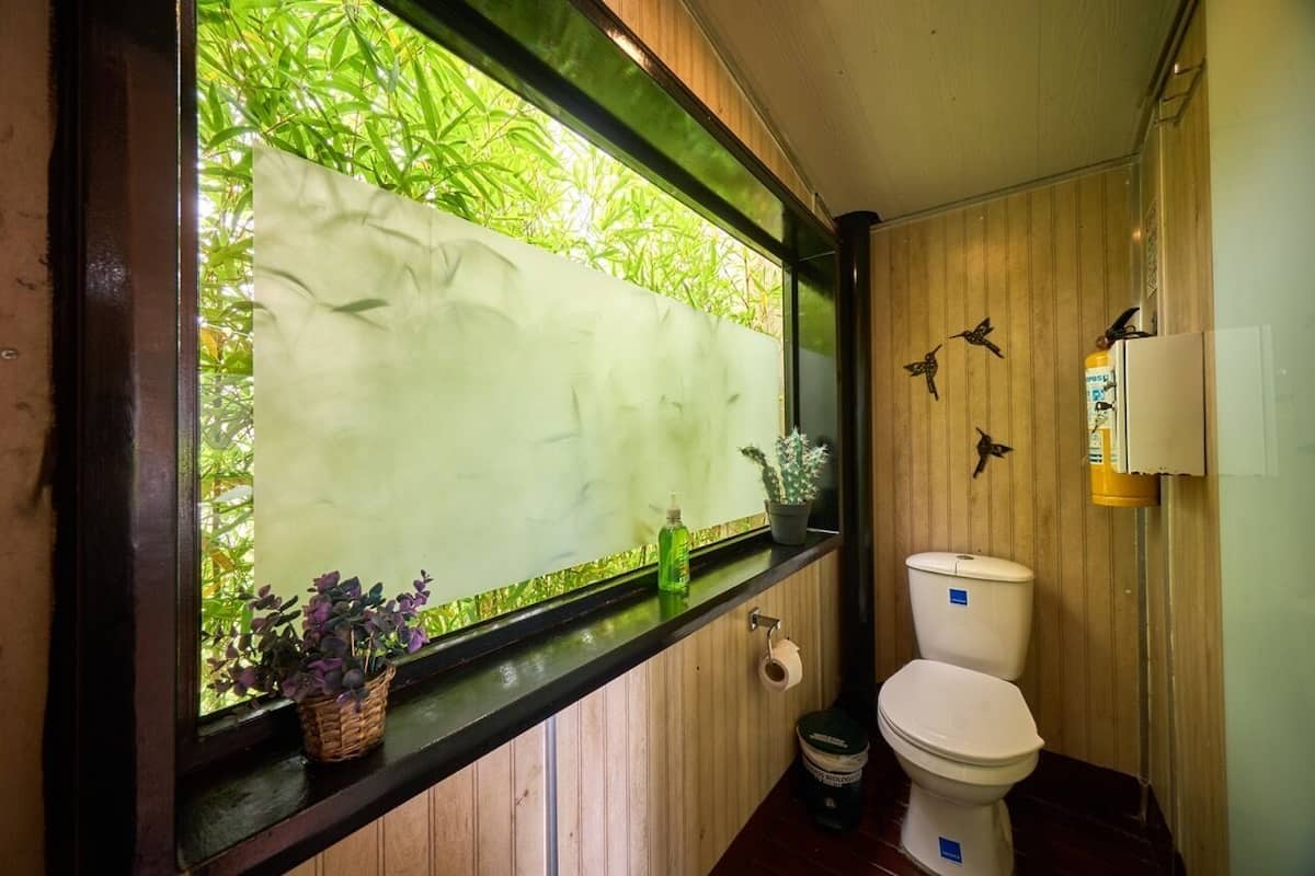 A bathroom with a window, wooden paneling, a toilet, a trash bin, and a small plant.