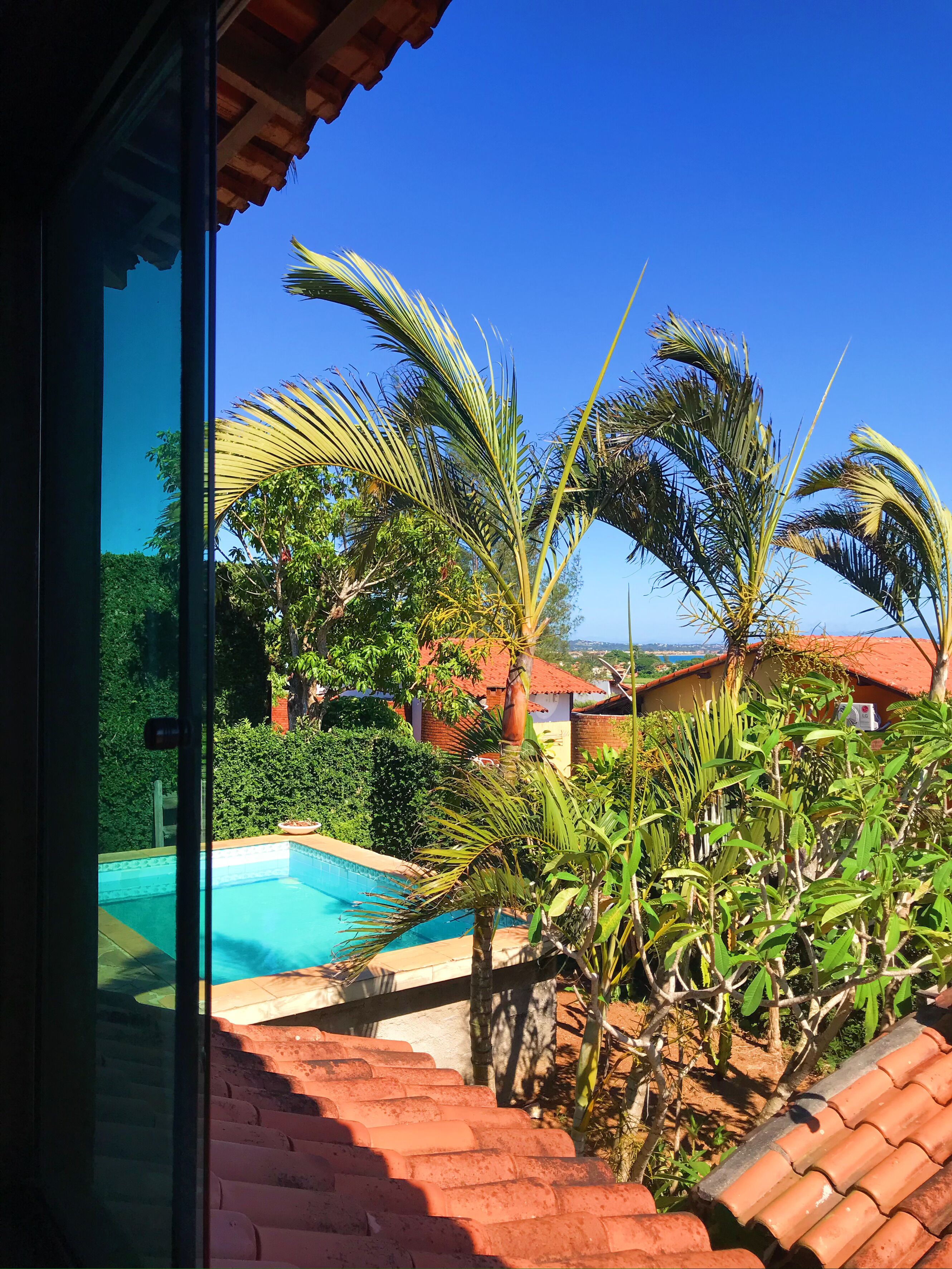 A swimming pool surrounded by palm trees and a brick pathway leading to a building with a red roof.