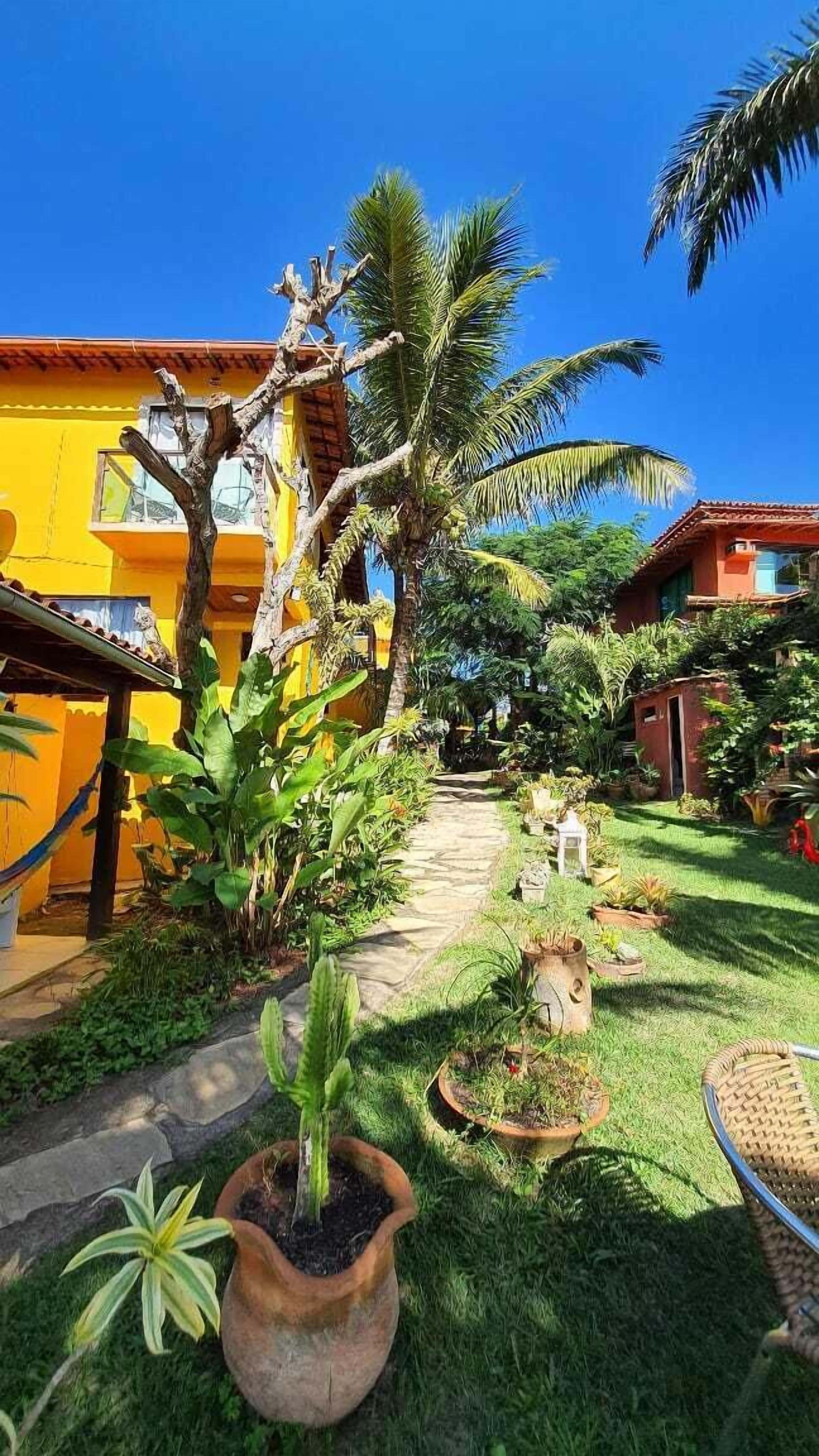 Un sendero en un jardín que lleva a un edificio amarillo, con una palmera y diversas plantas.