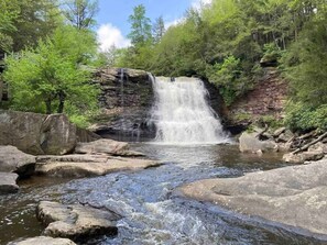 Miscellaneous