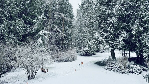 A snow-covered forest path with a bench and a sign.