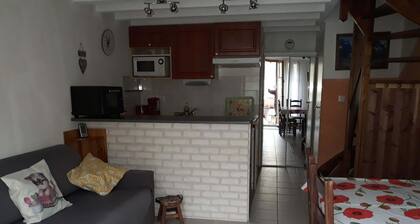 Appartement 2* Ă la montagne