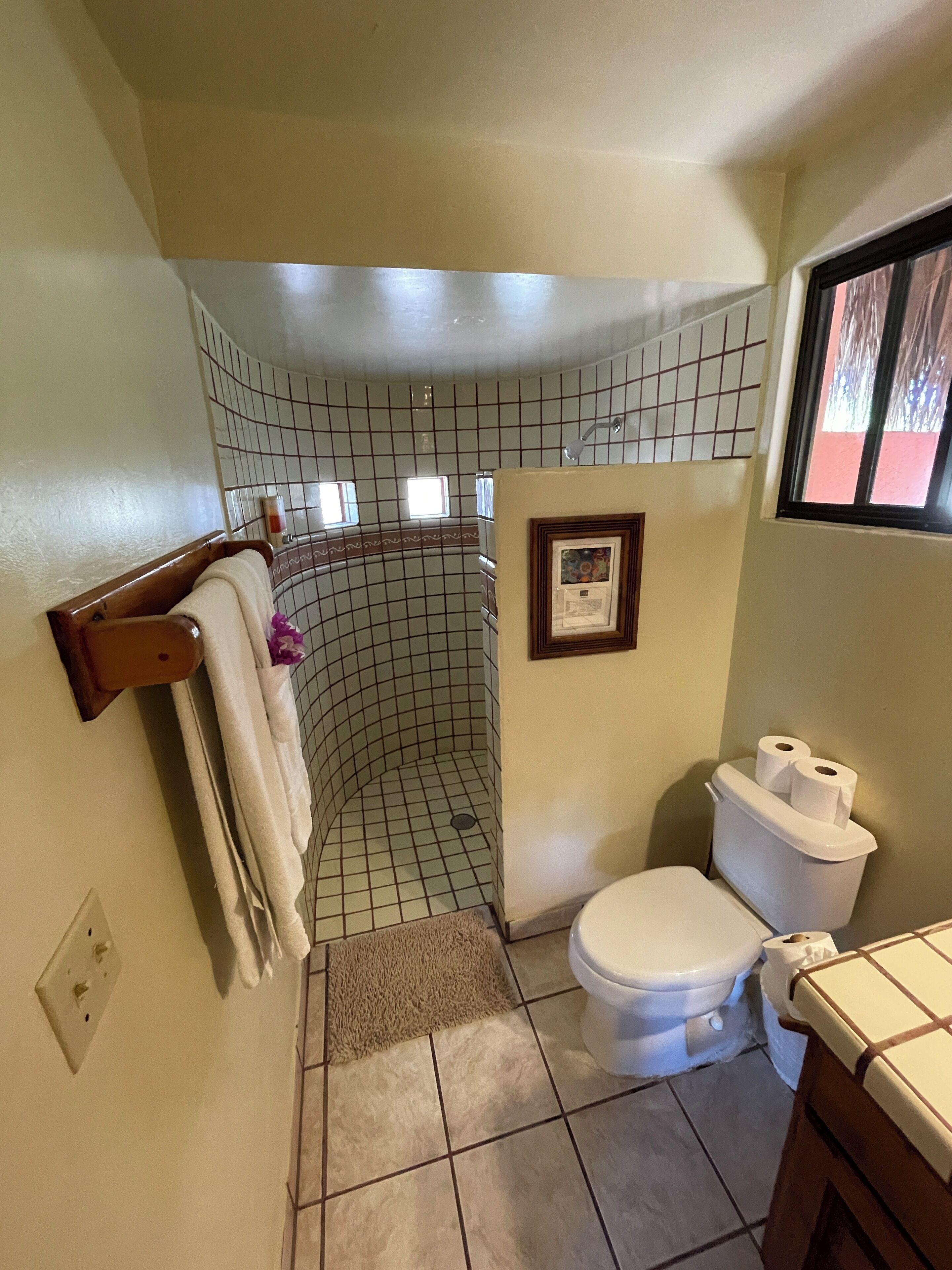 Un baño con ducha, inodoro y lavabo.