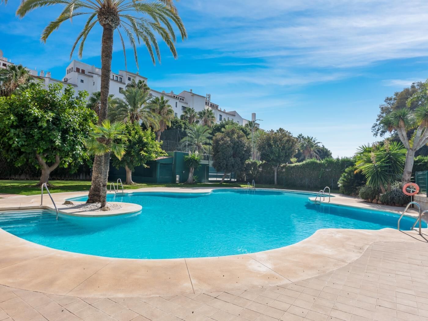A swimming pool with a curved edge, surrounded by palm trees and a building in the background.