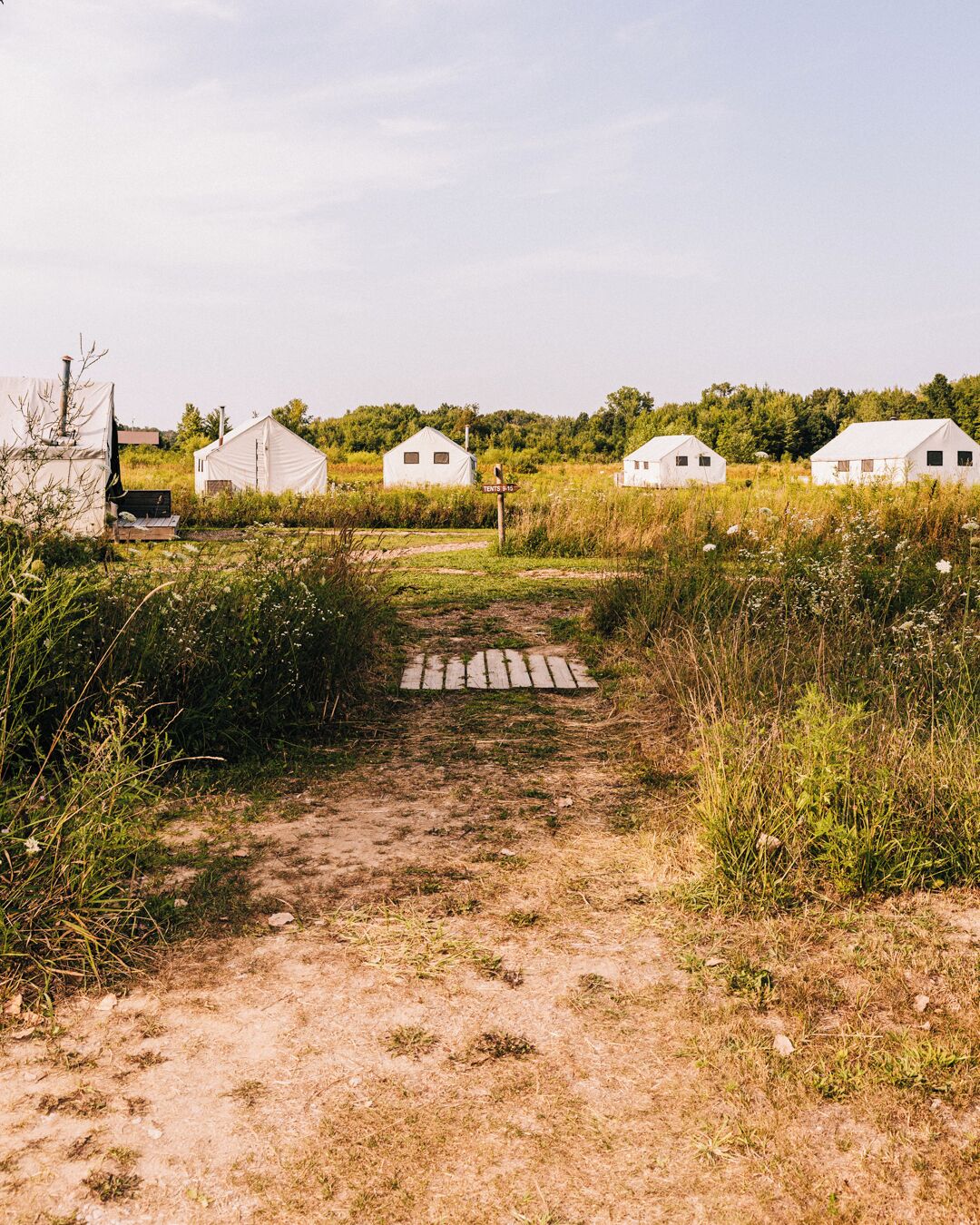 Un paysage rural avec un chemin de terre menant à des tentes blanches.