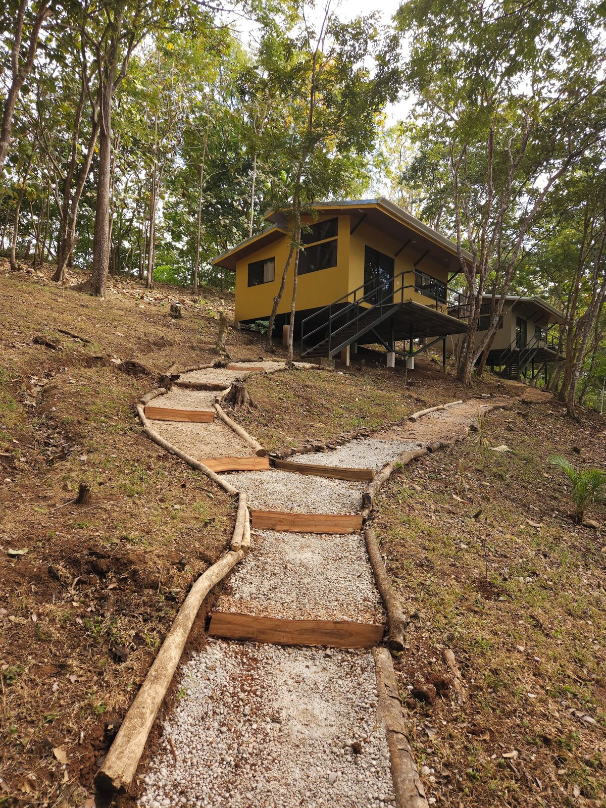 オーナーのプロフィール画像