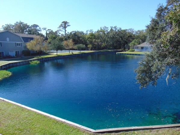 A clear blue swimming pool surrounded by a grassy area and trees, with houses in the background.