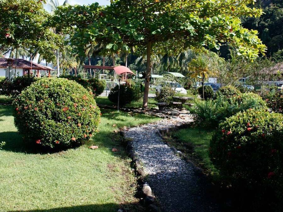 A well-maintained garden with a gravel path, neatly trimmed bushes, and a small bridge.
