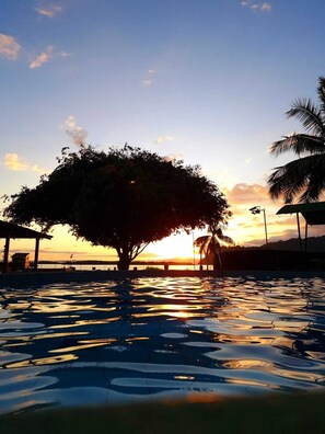 A sunset view over a swimming pool with a large tree in the foreground. - Hotel Samoa del Sur (Golfito)
