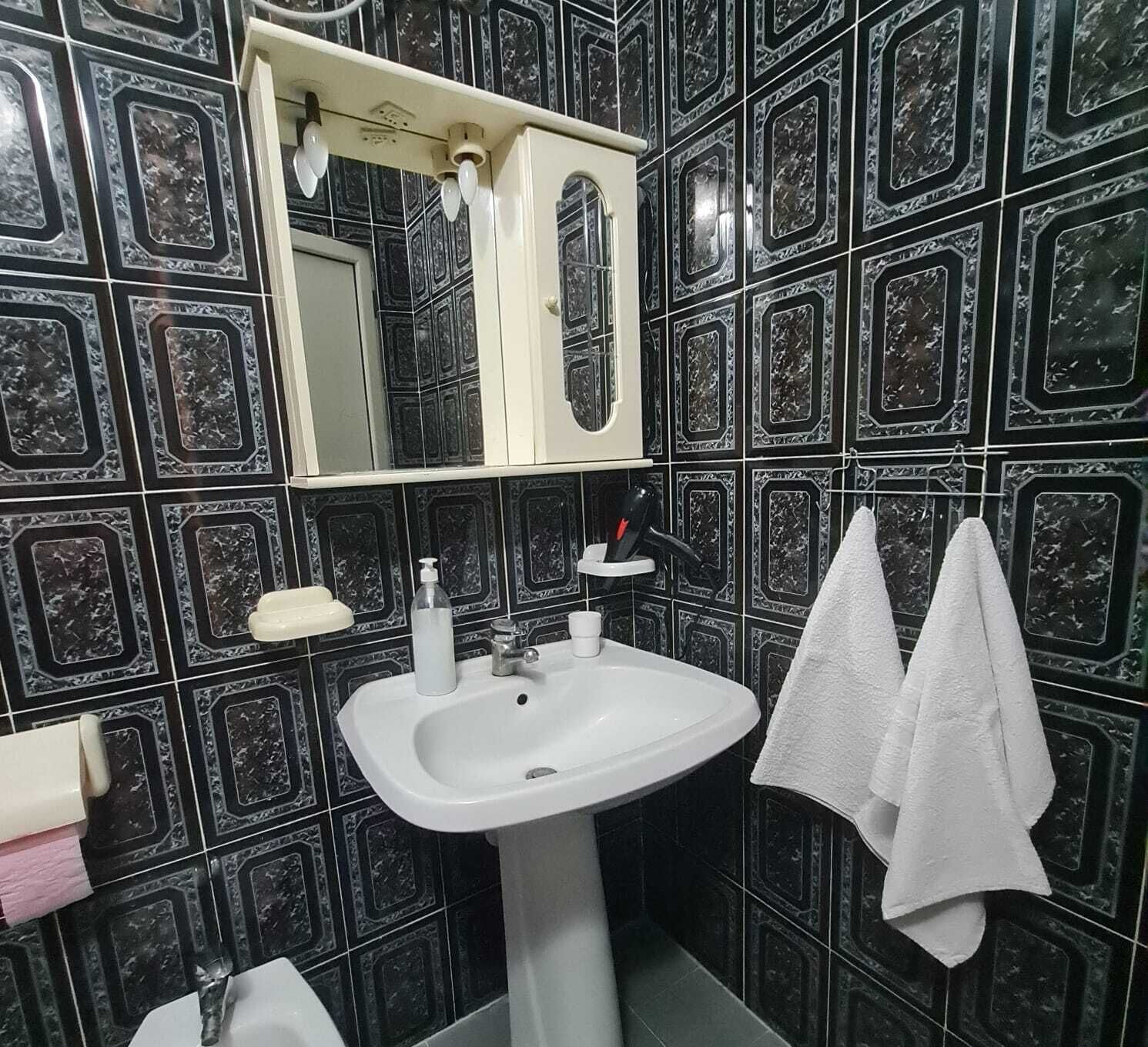 Shower, hair dryer, bidet, towels