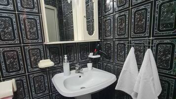 Shower, hair dryer, bidet, towels