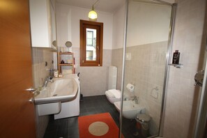 Shower, hair dryer, bidet, towels