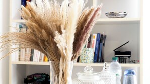 A vase with dried pampas grass on a reflective surface, surrounded by books and decorative items on shelves. - Strategic location and cozy atmosphere for a perfect Roman vacation. (Roma)