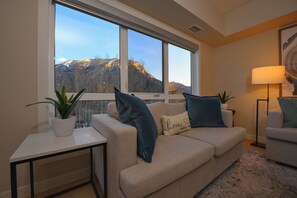 Smart TV, fireplace, books