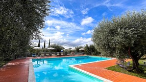 Piscina rectangular con borde de ladrillo rojo, rodeada de olivos y un cielo azul despejado.