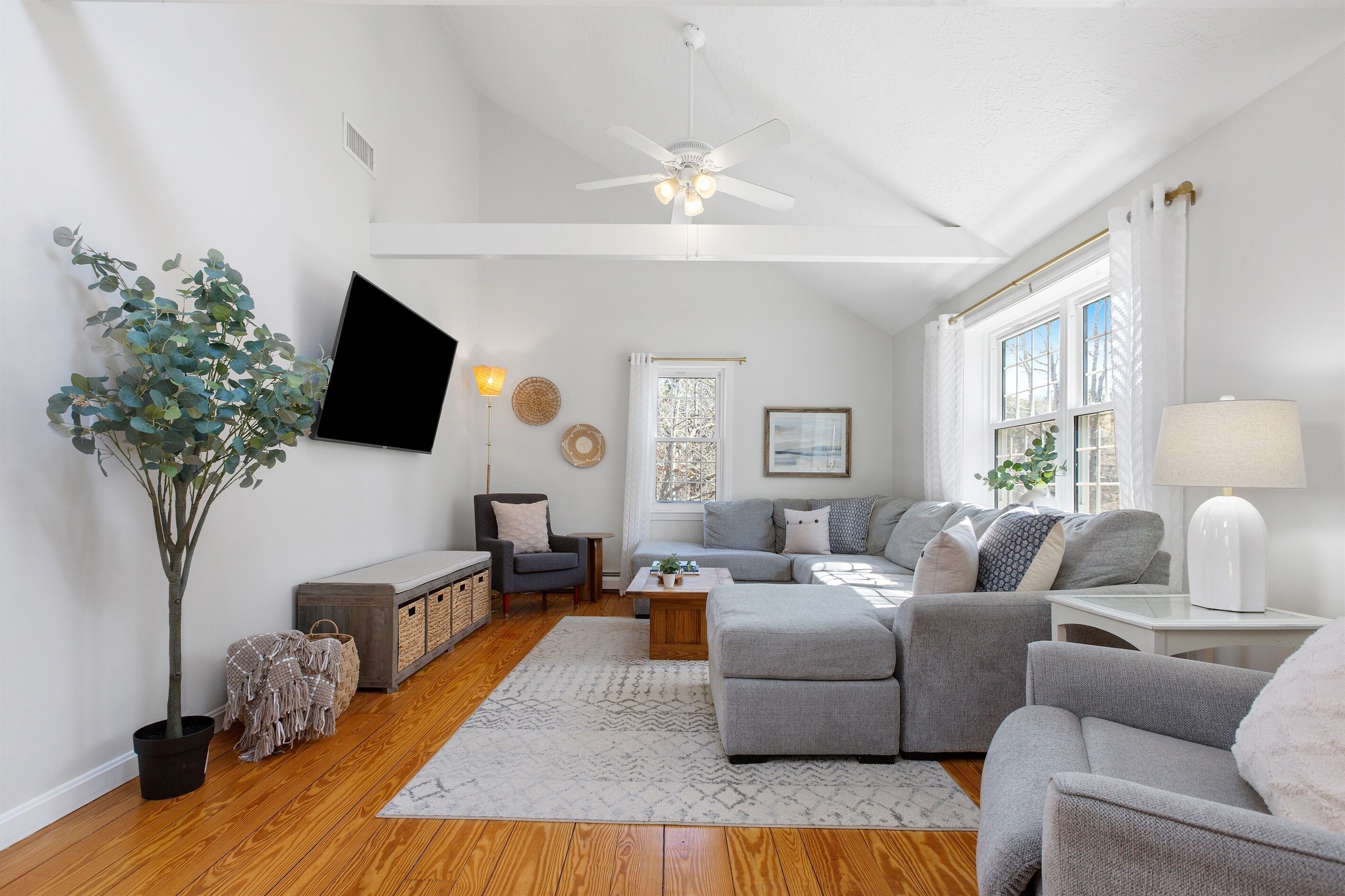Smart TV, fireplace, books