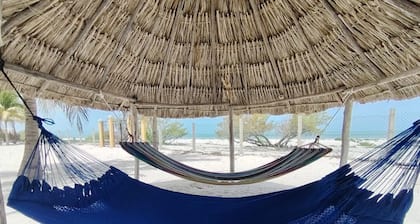 Ocean Front, Accessible, 3-bdrm Home!