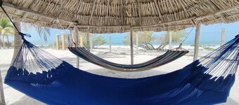Ocean Front, Accessible, 3-bdrm Home!