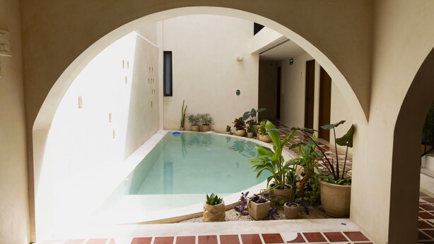 Une piscine dont le fond est recouvert de carrelage, entourée de plantes en pot et bordée d’un mur blanc.