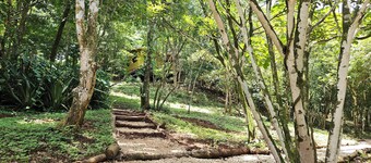 Casa Teca, near Ostional Wildlife Refugio, Guanacaste, 10 min.Playa San Juanillo 