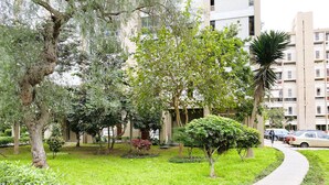 Sınıflandırılmamış resim, 21 üzerinden 3, düğme