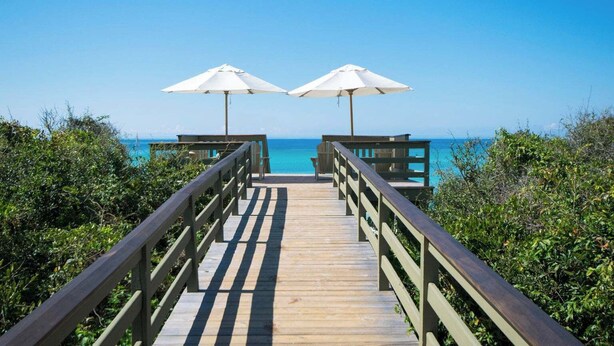 A wooden boardwalk leading to beach umbrellas, surrounded by greenery.