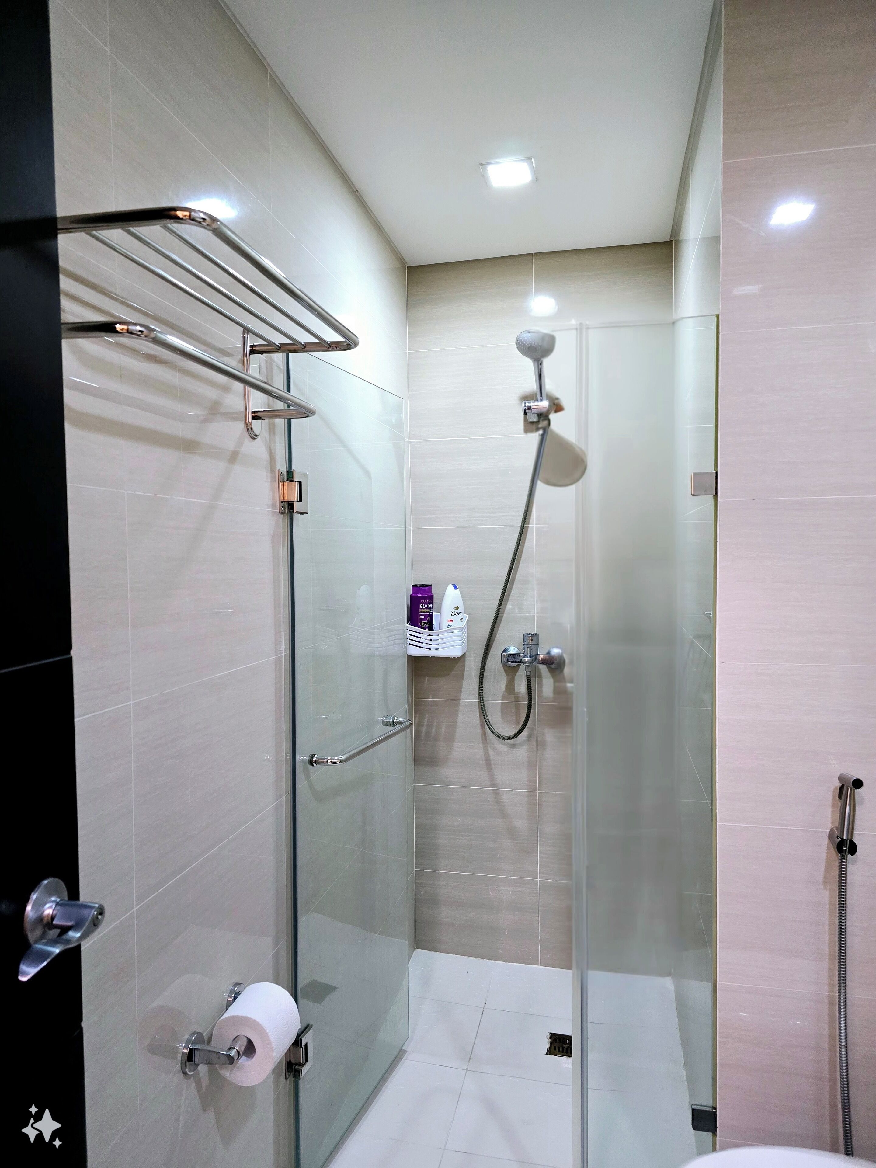 Shower, bidet, towels, soap