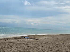 Serviettes de plage