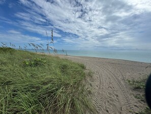 Una playa con un sendero arenoso que lleva al agua, rodeada de zonas verdes.