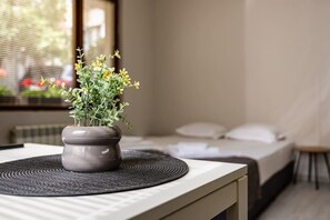 1 Schlafzimmer, Bügeleisen/Bügelbrett, Reisekinderbett, WLAN