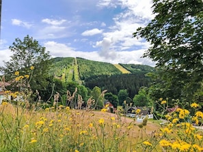 A rural landscape with a house, a forested hill, and yellow wildflowers.