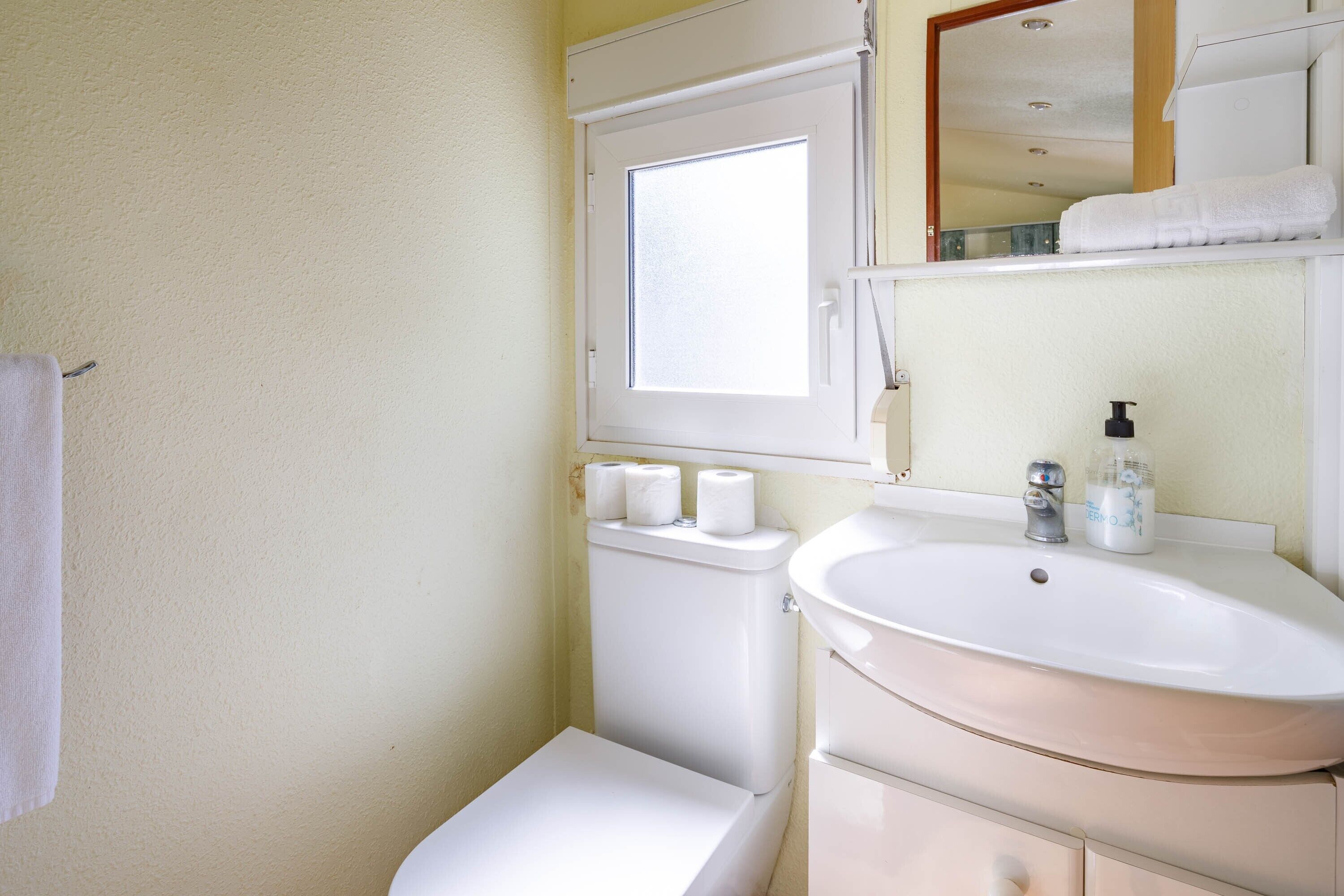 A bathroom with a toilet, sink, and mirror.
