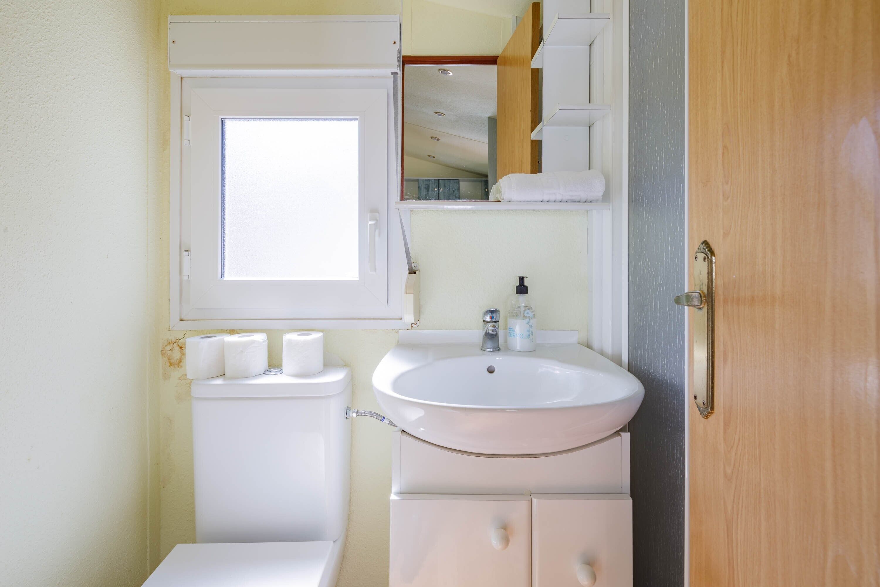 Een kleine badkamer met toilet, wastafel en spiegel boven de wastafel.
