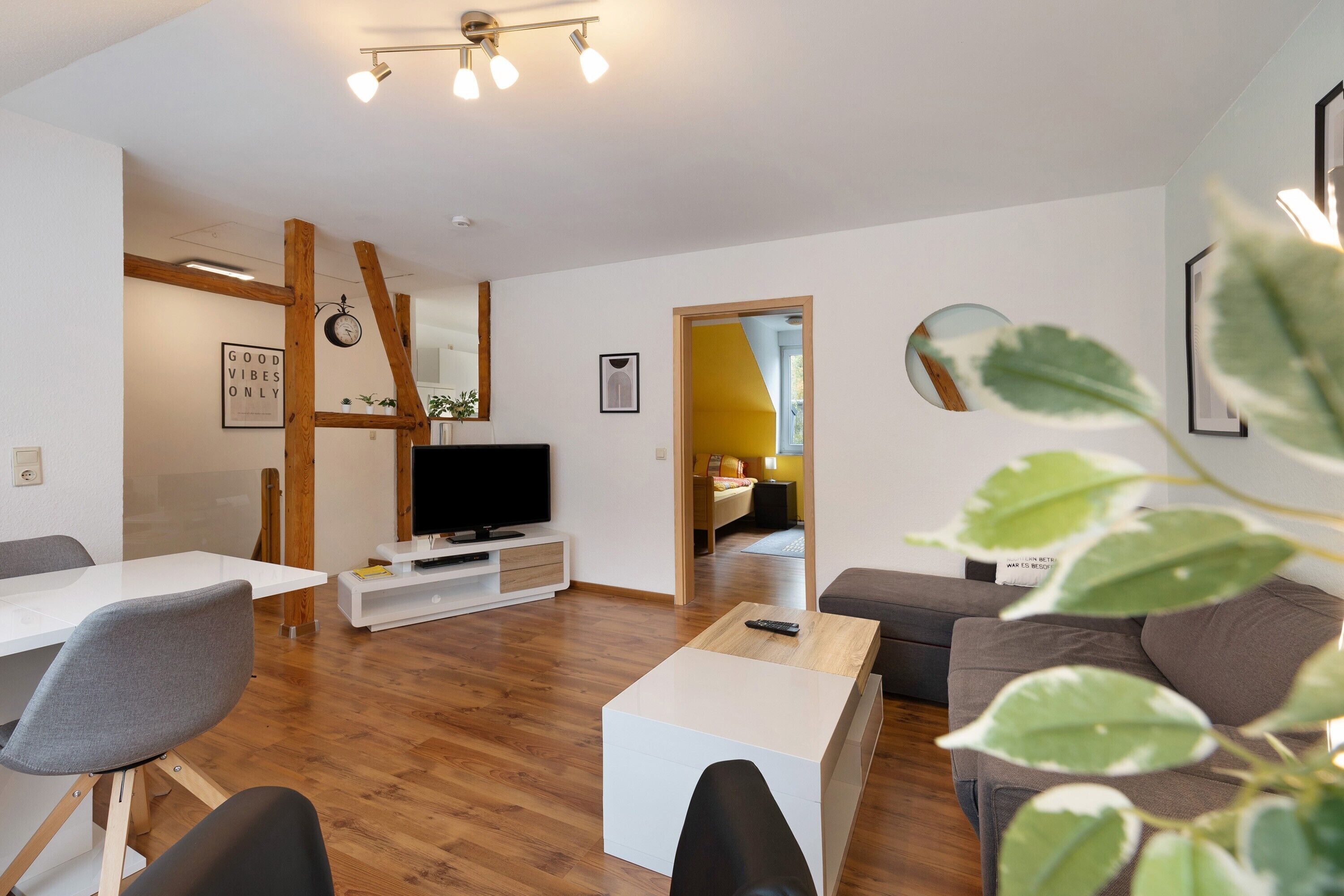 电视、DVD 播放器