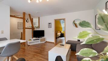 电视、DVD 播放器