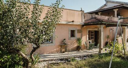 Country House 'Quinta Do Passal - Gondoriz' with Mountain View, Wi-Fi and Air Conditioning
