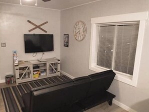TV, DVD player, books, video library