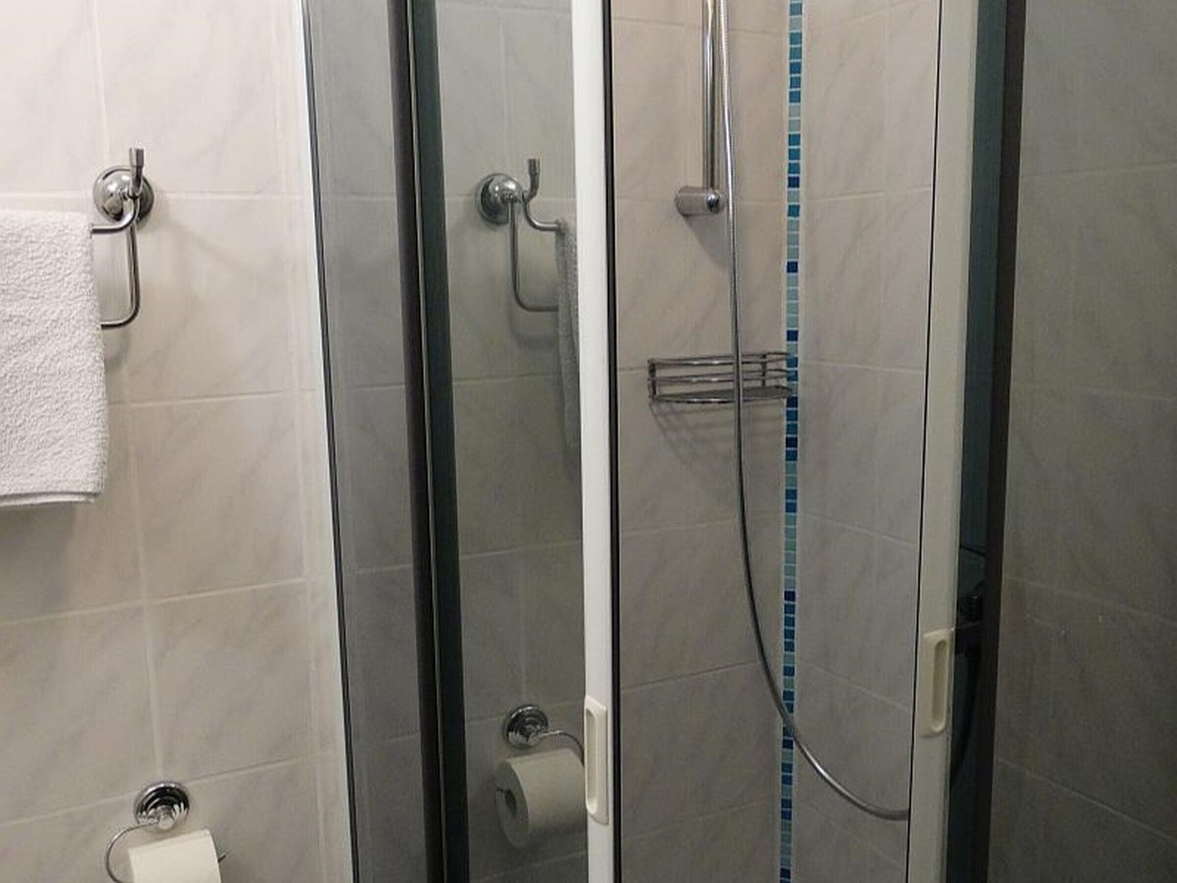 A shower area with a glass door, a towel rack, a toilet paper holder, and a shower head.