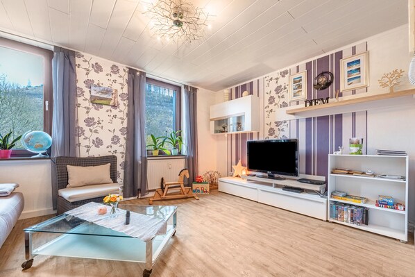 TV, fireplace, DVD player